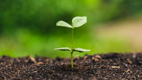 آخرین اخبار شرکت در مورد استرالیا هشدار می دهد: برچسب های گمراه کننده ️ قابل کمپوست ️ باعث آلودگی پلاستیکی گسترده می شود