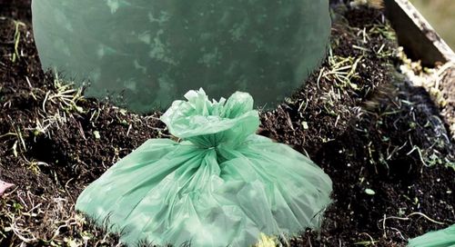 آخرین اخبار شرکت در مورد آیا کیسه‌های پلاستیکی کمپوست‌پذیر زیست‌تخریب‌پذیر هستند؟ رفع ابهامات